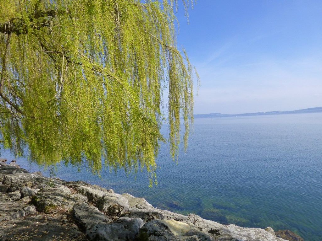 Neuchâtel au fil de l’eau