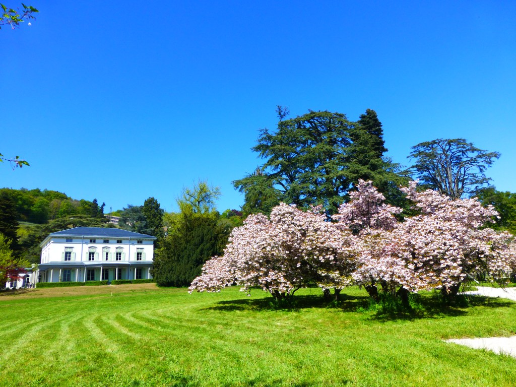 Charlie Chaplin World: quand la nostalgie prend&nbsp;vie