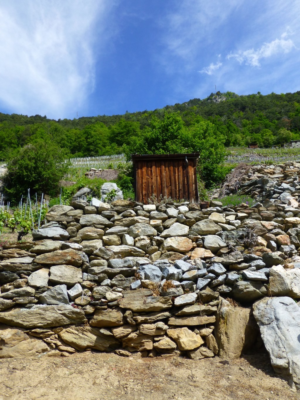 Au défi de la gravité à Bovernier