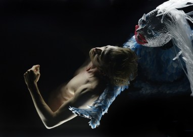 hocuspocuspetittheatre_phpache2017