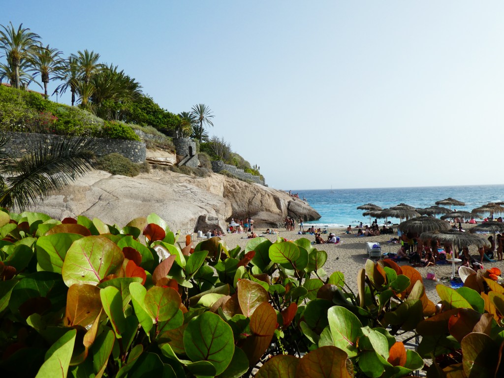 Tenerife derrière les&nbsp;barreaux