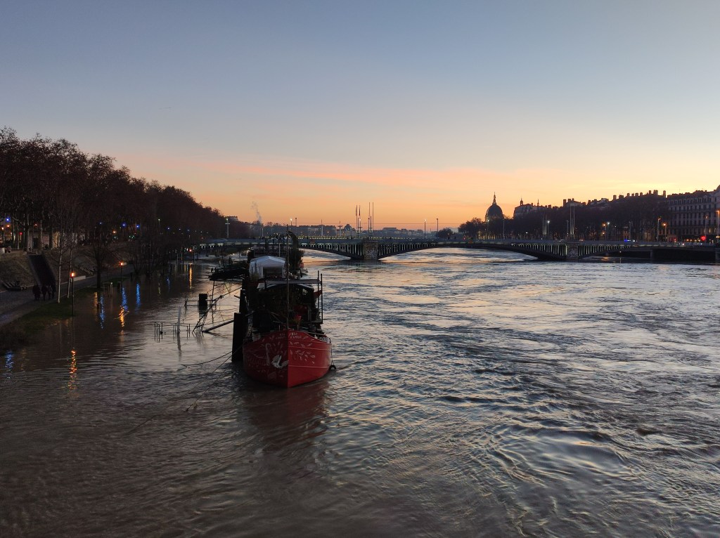 La part du Lyon à pleines&nbsp;dents