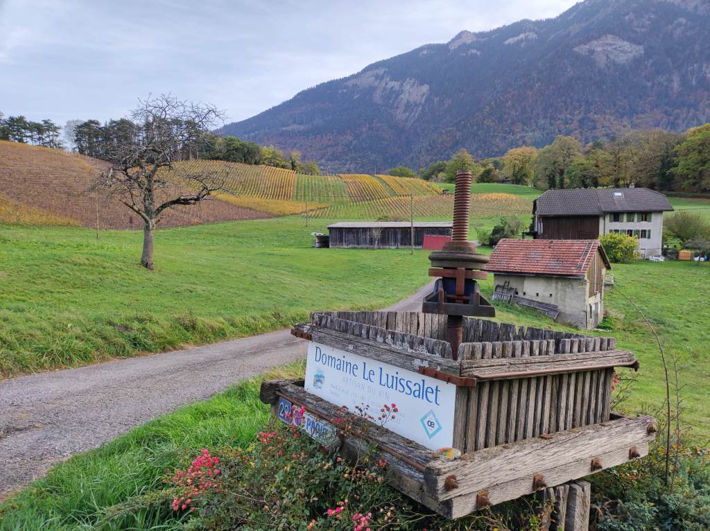 Domaine de Luissalet