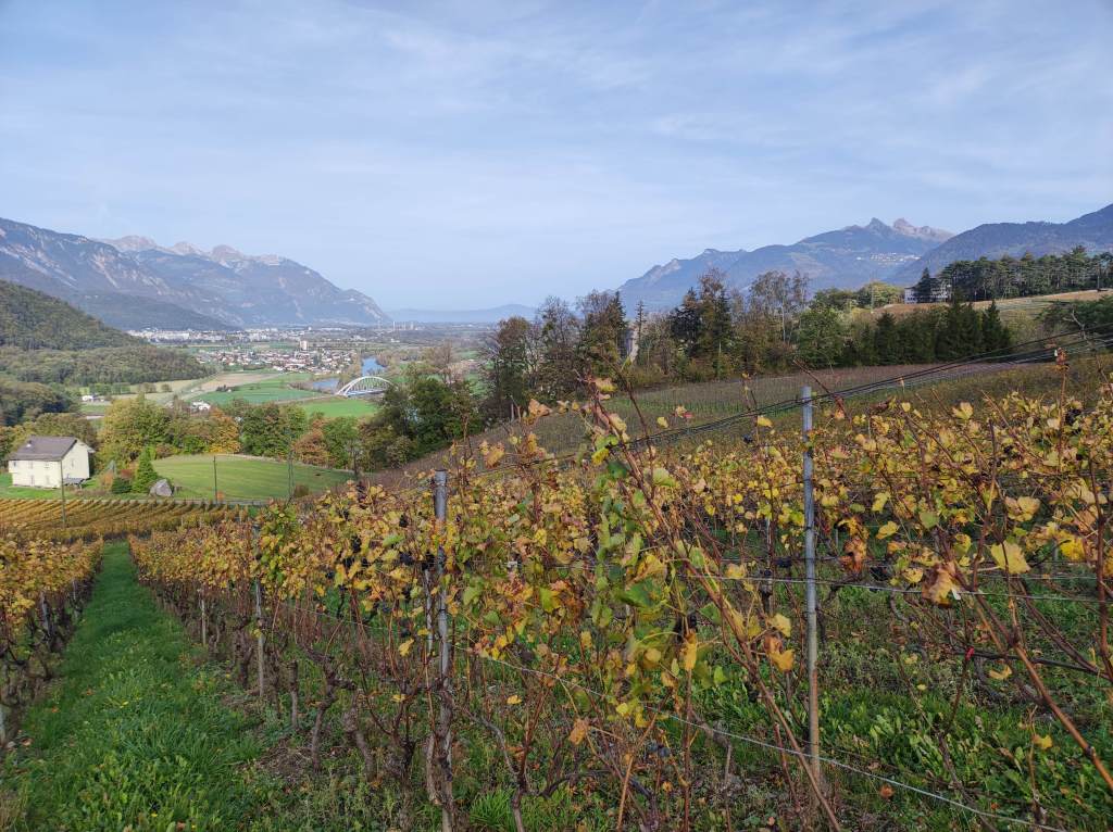 Vue en direction de Monthey