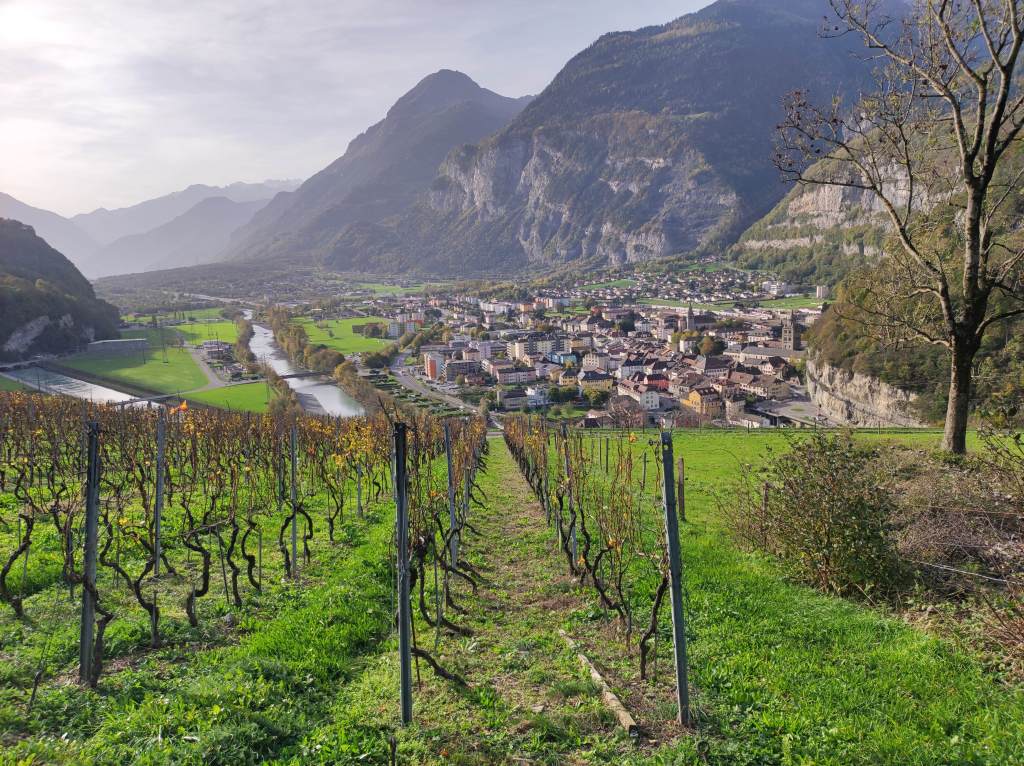 Vue de la colline côté Saint-Maurice